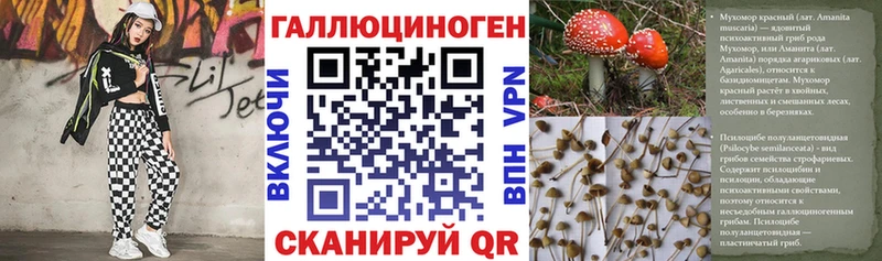 Галлюциногенные грибы GOLDEN TEACHER Гороховец